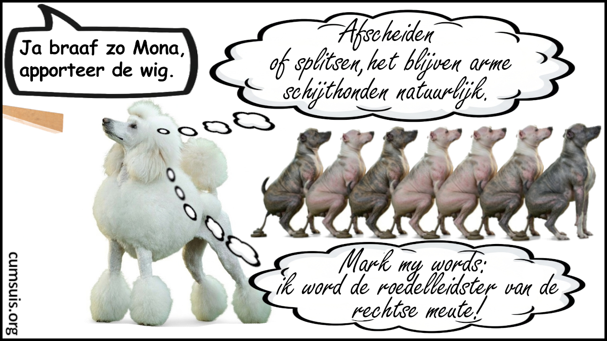 Ondertussen in de rechtse&nbsp;roedel…
