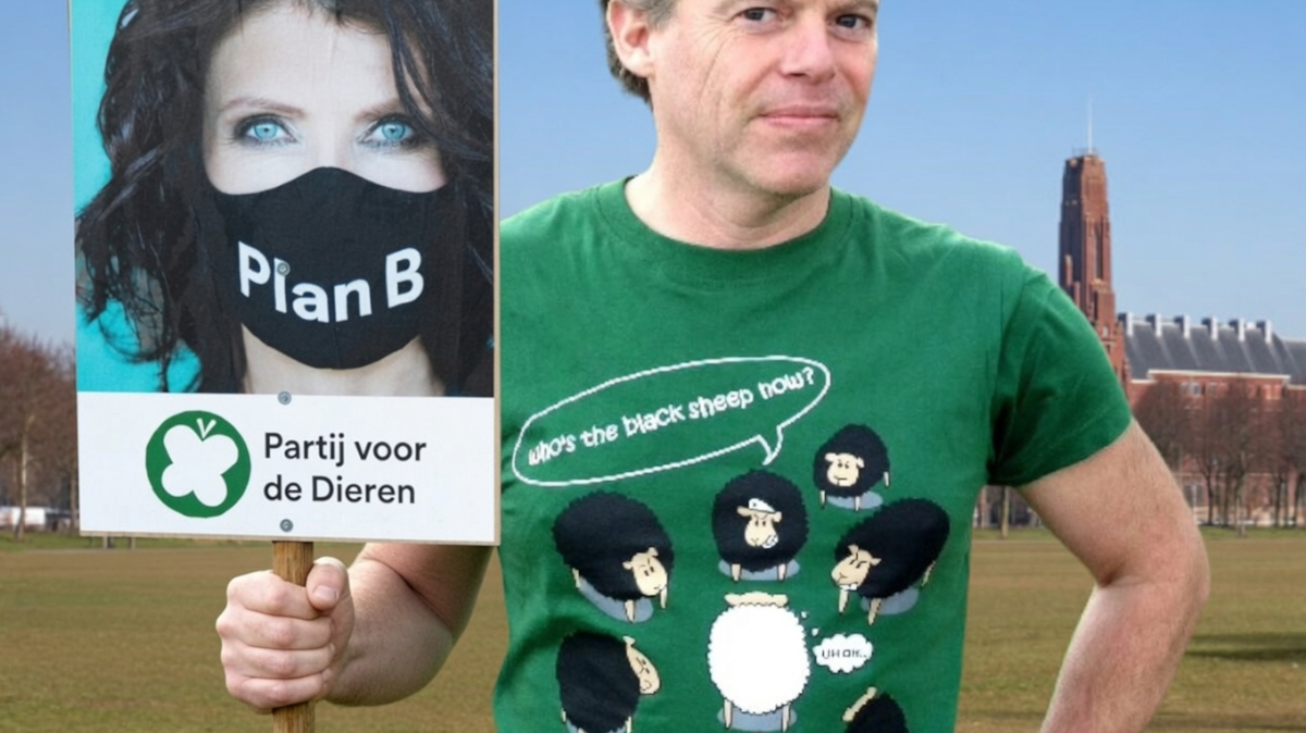 Wat meer naar achteren